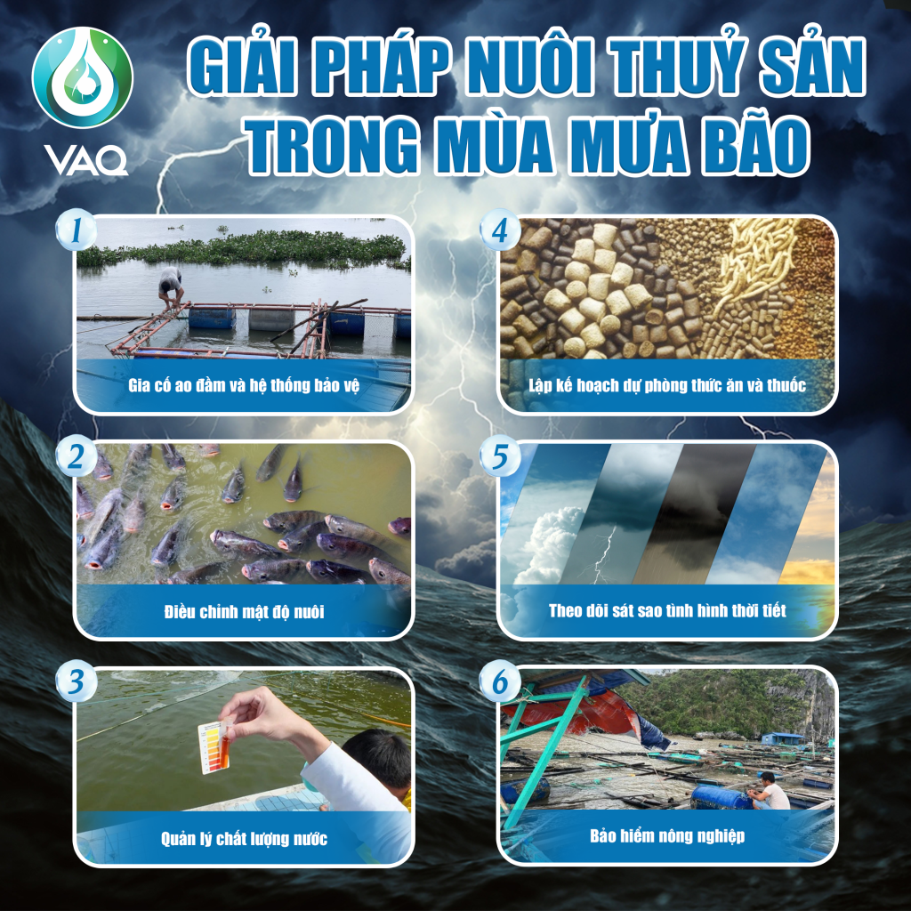 Giải pháp nuôi trồng thủy sản mùa mưa bão an toàn