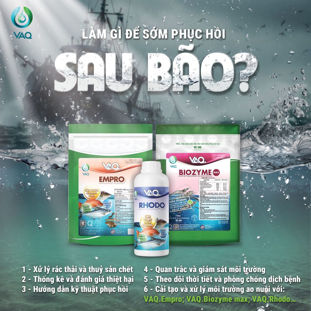 Ngành thuỷ sản cần khẩn trương khắc phục sau bão