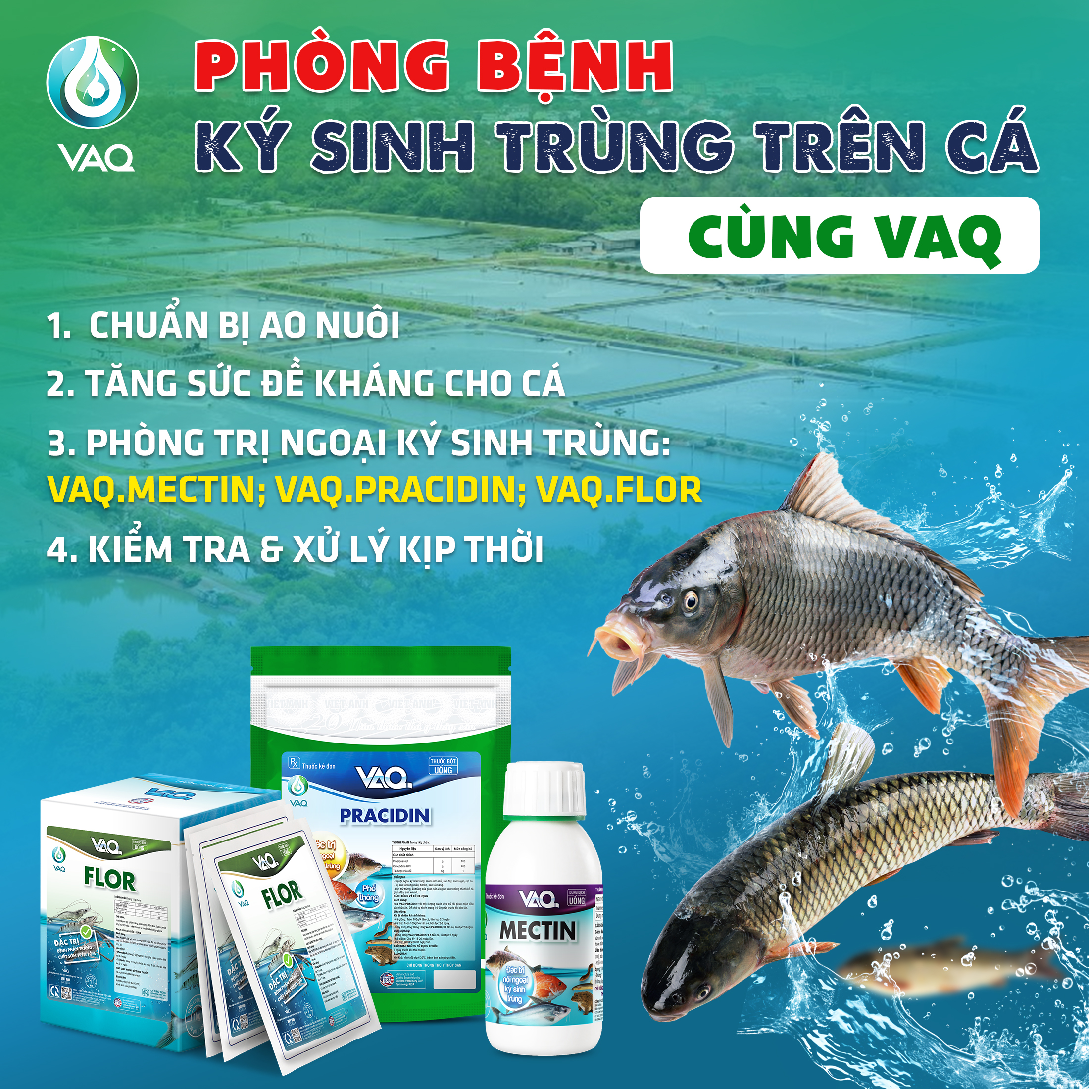 Nhận biết và xử lý bệnh ký sinh trùng trên cá