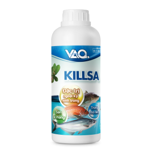 VAQ.KILLSA