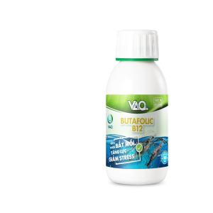 BUTAFOLIC B12