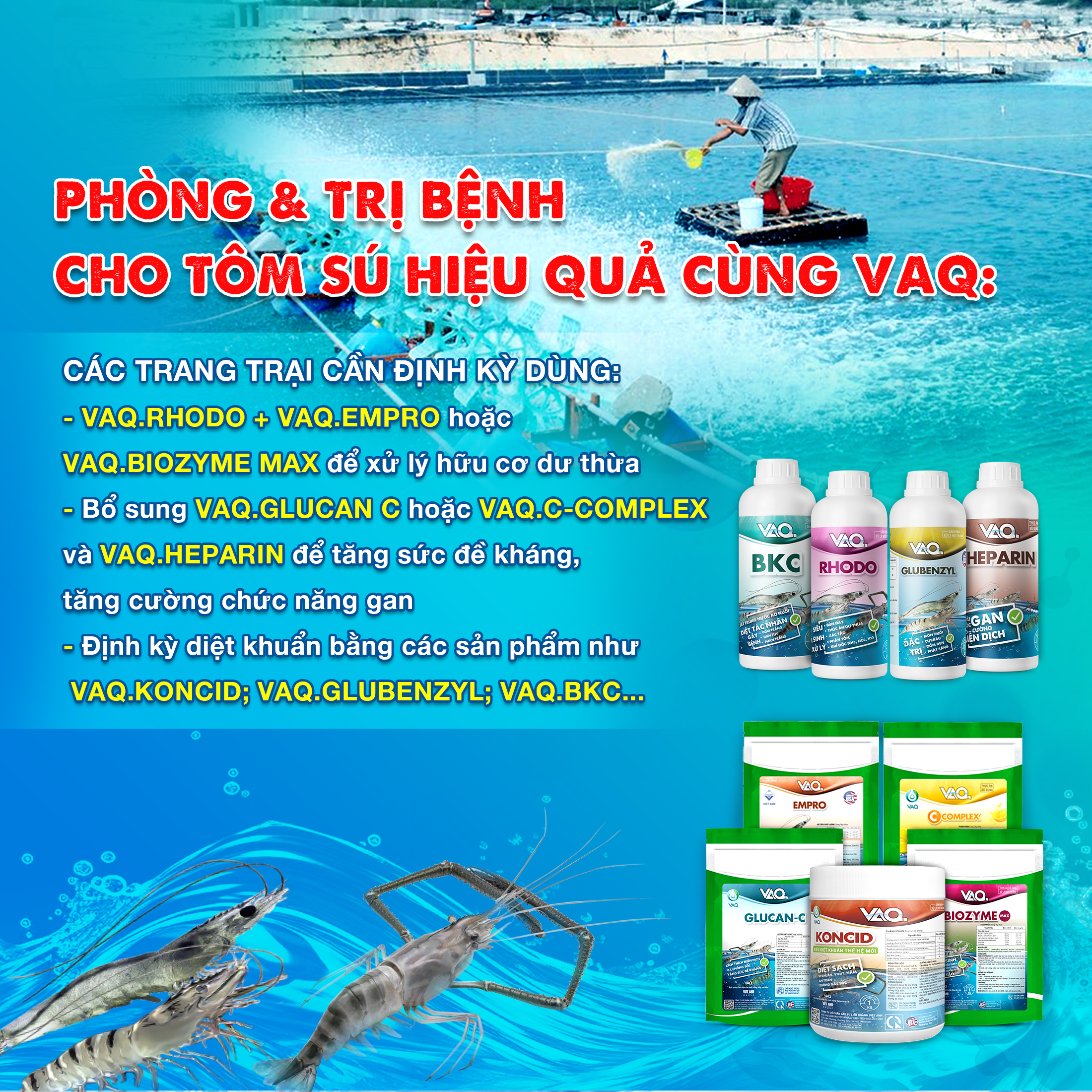 CƠ CHẾ GÂY BỆNH THƯỜNG GẶP TRÊN TÔM SÚ VÀ CÁCH PHÒNG TRỊ