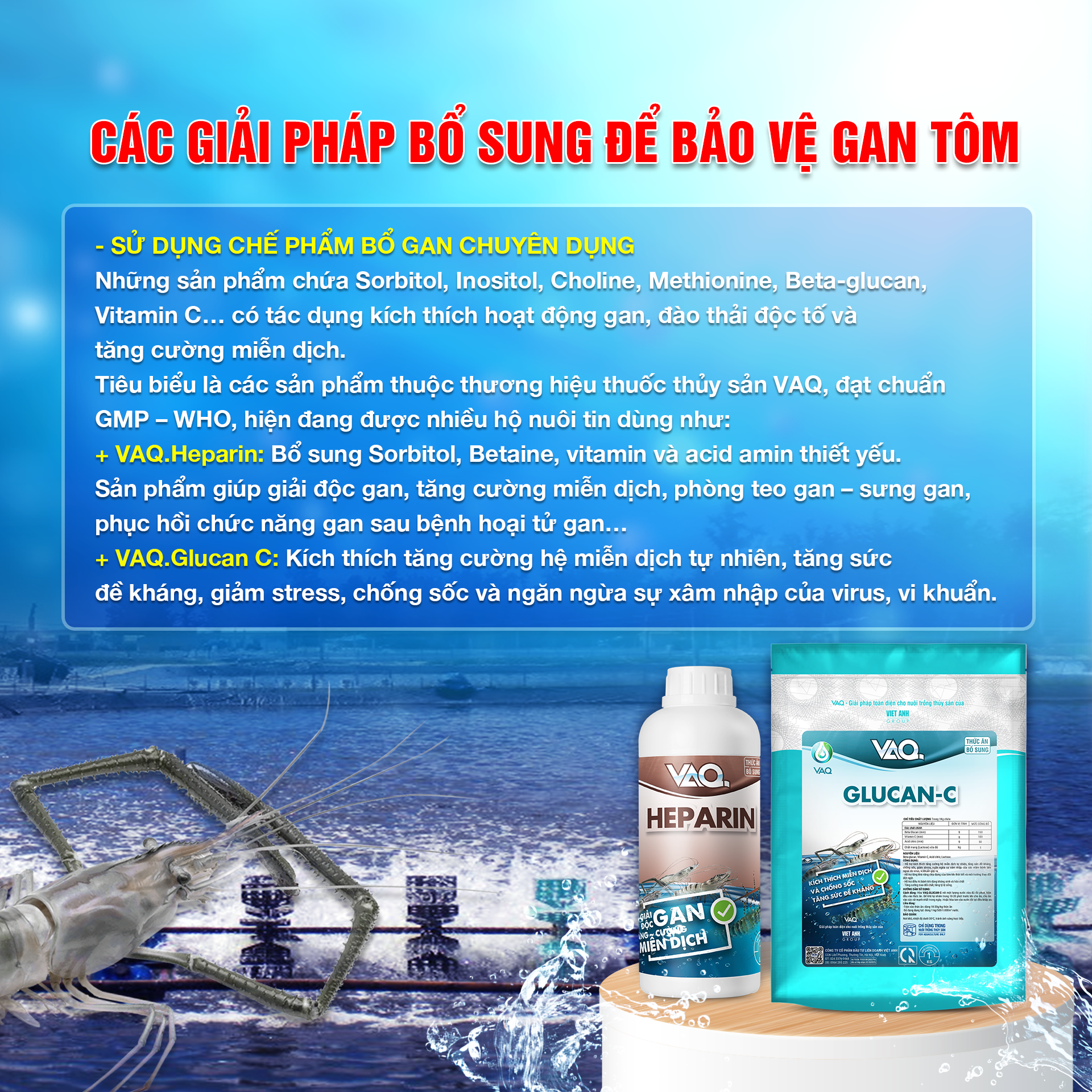 LỢI ÍCH KHI TĂNG CƯỜNG GIẢI ĐỘC GAN, NÂNG CAO HIỆU QUẢ NUÔI TÔM