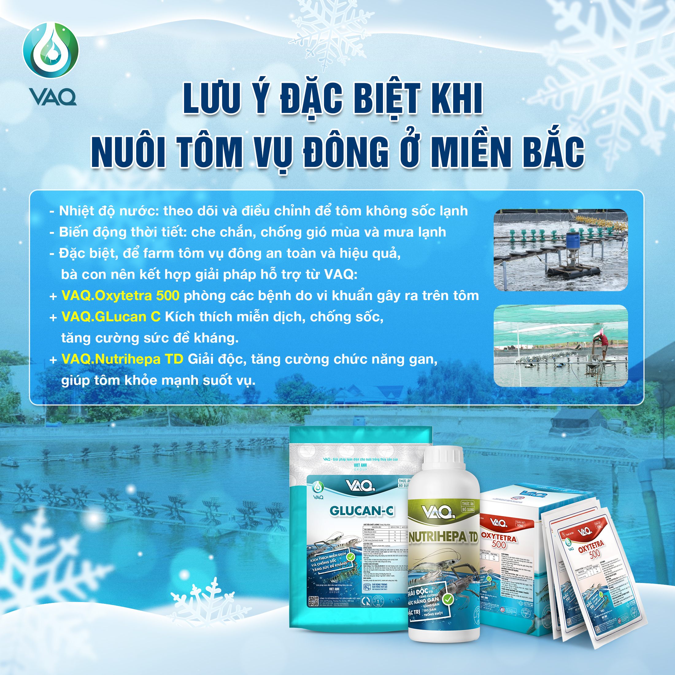Những chuẩn bị cho nuôi tôm vụ đông ở khu vực miền Bắc