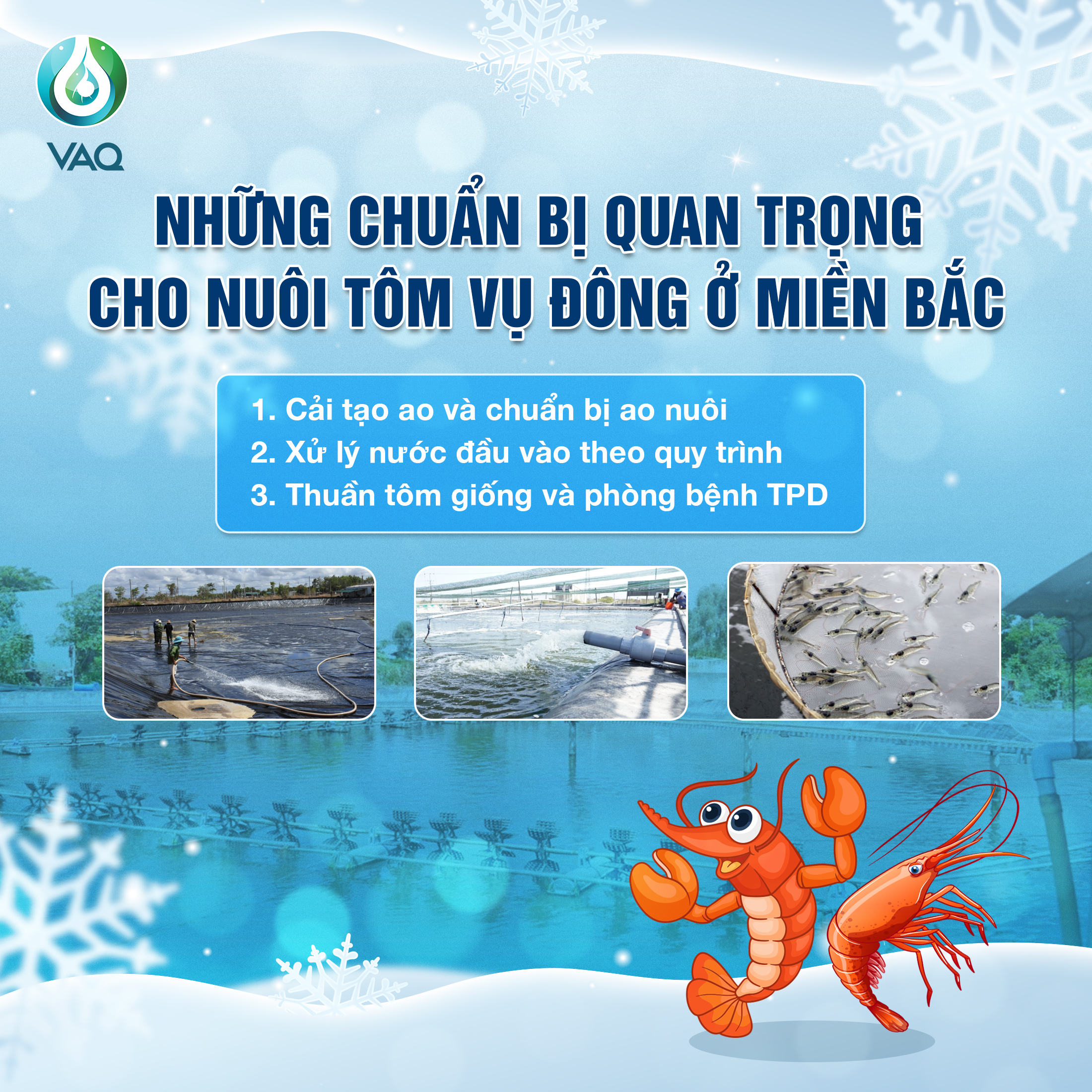 Những chuẩn bị cho nuôi tôm vụ đông ở khu vực miền Bắc