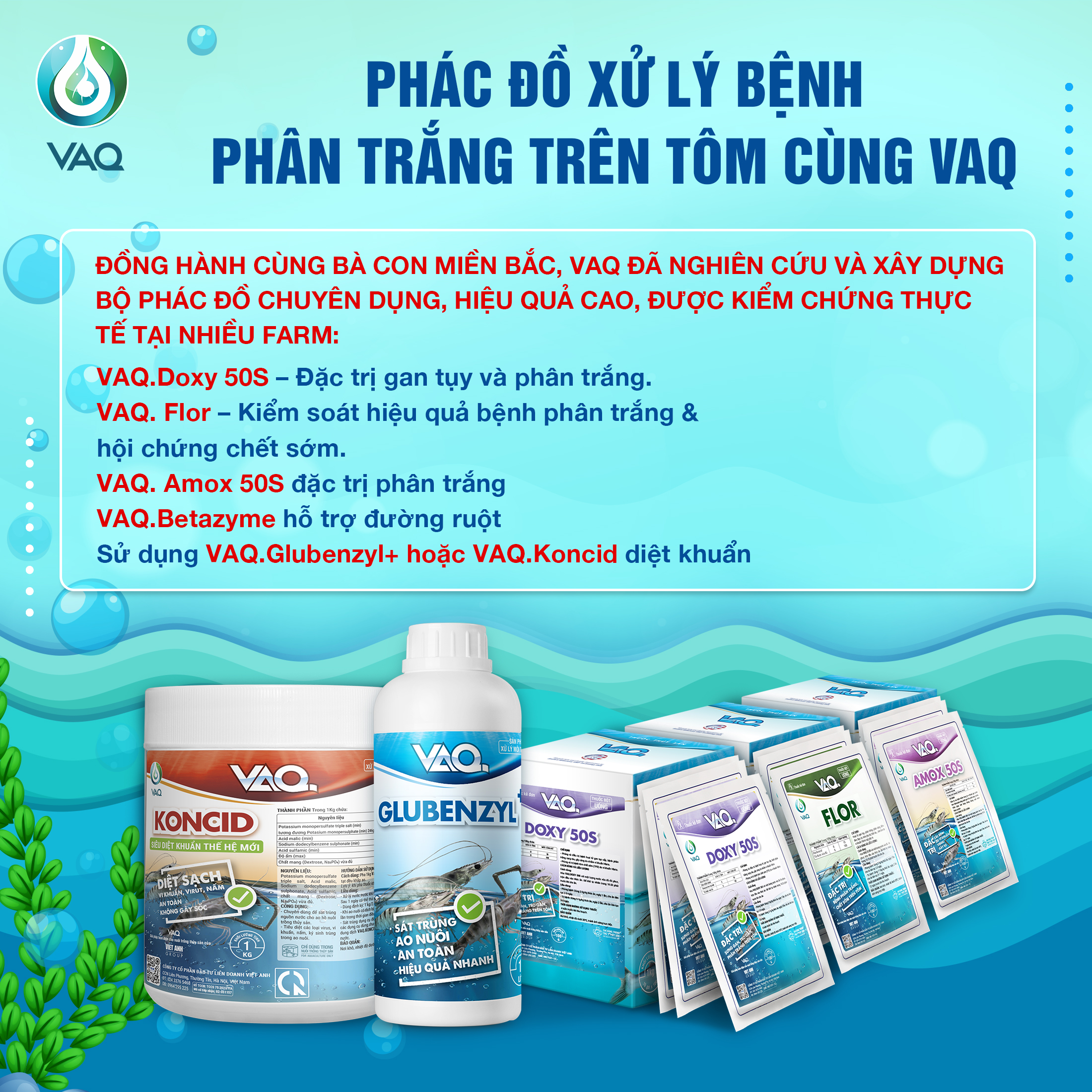Bệnh phân trắng trên tôm và phương án xử lý