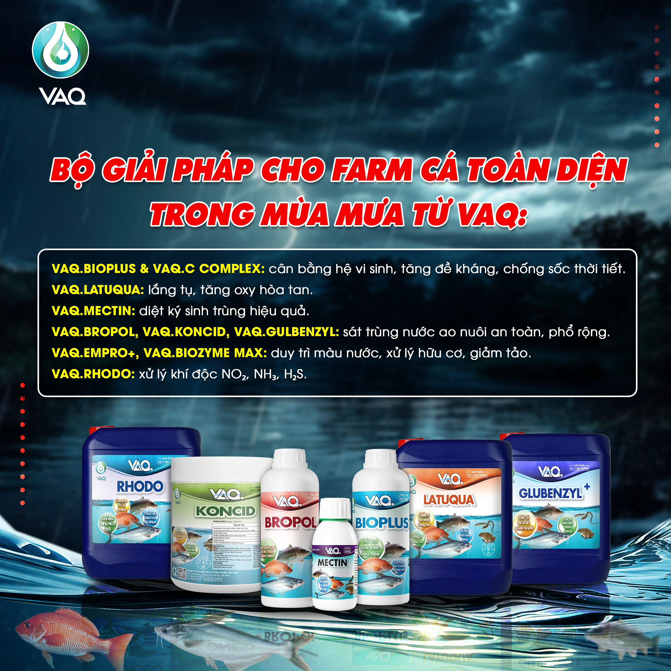 VÌ SAO CẦN NÂNG CAO SỨC KHỎE ĐÀN CÁ TRONG MÙA MƯA?