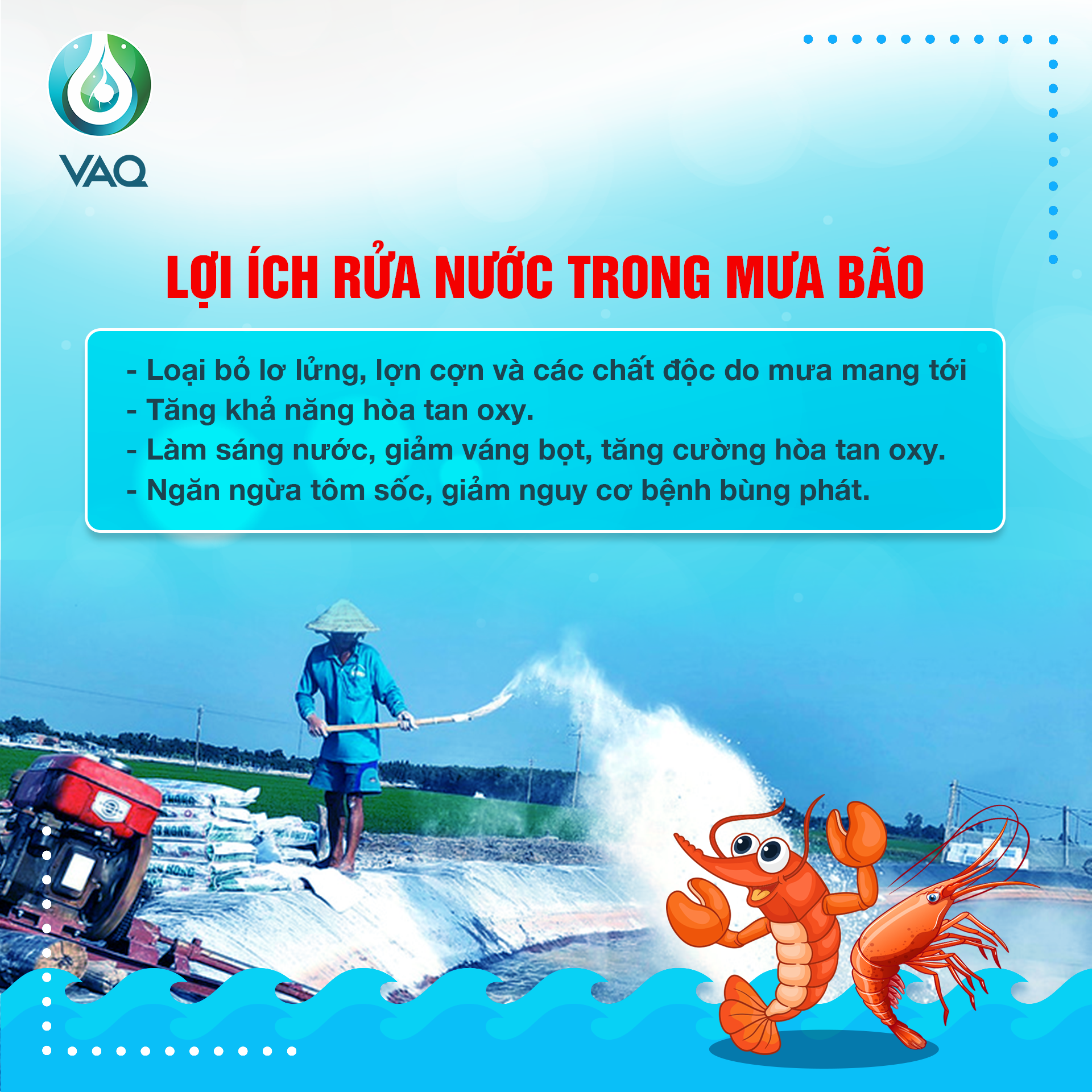 TẠI SAO NÊN RỬA NƯỚC KẾT HỢP VÔI KHI TRỜI MƯA BÃO TRÊN AO TÔM?