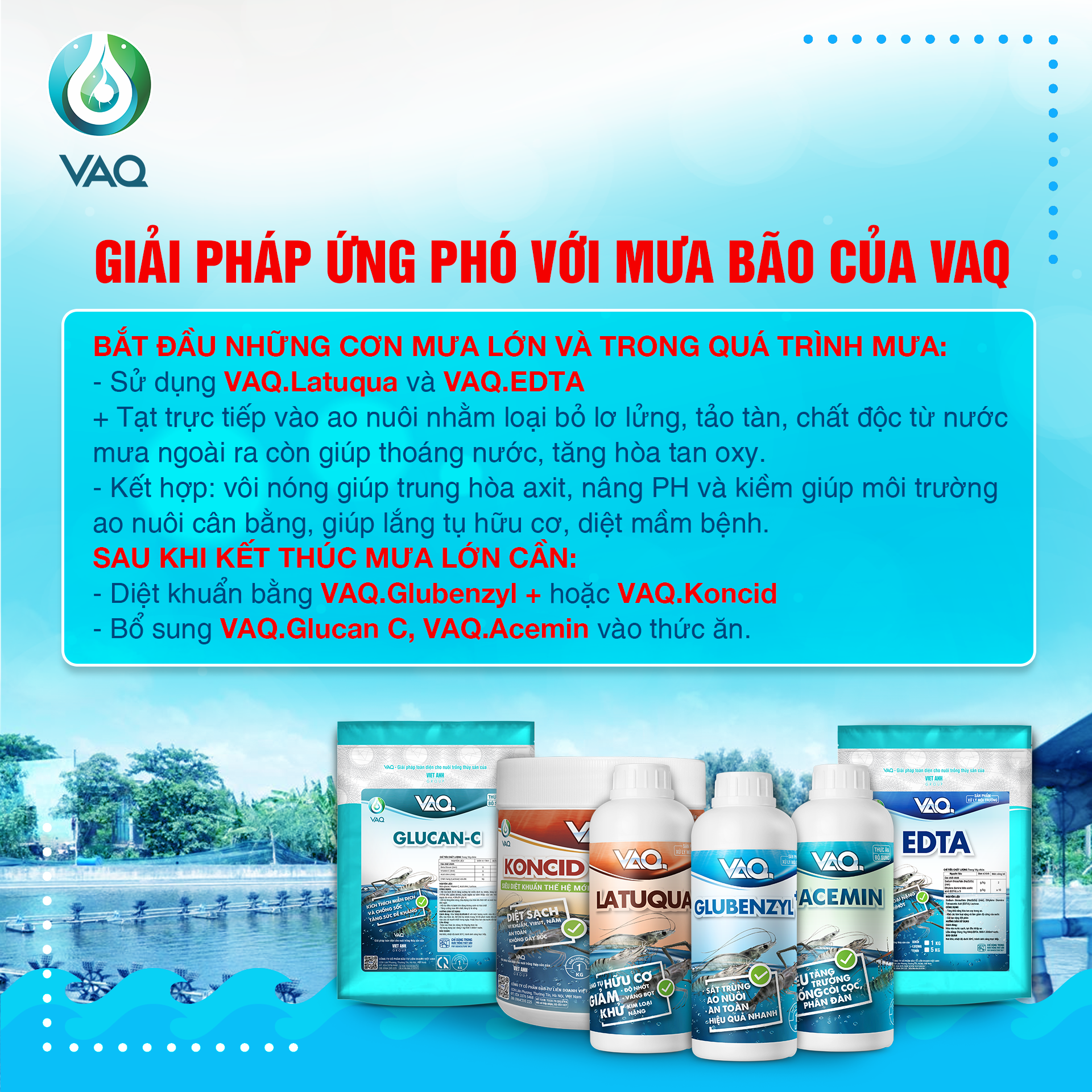 TẠI SAO NÊN RỬA NƯỚC KẾT HỢP VÔI KHI TRỜI MƯA BÃO TRÊN AO TÔM?