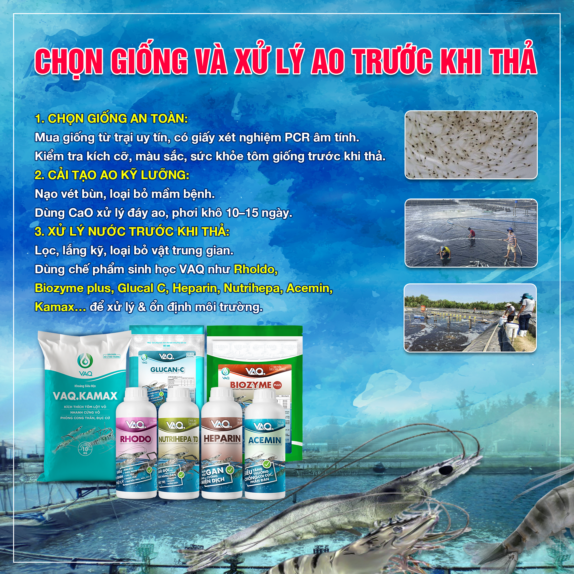 Bệnh hồng thân đốm trắng trên tôm bùng phát vào thời điểm nào?