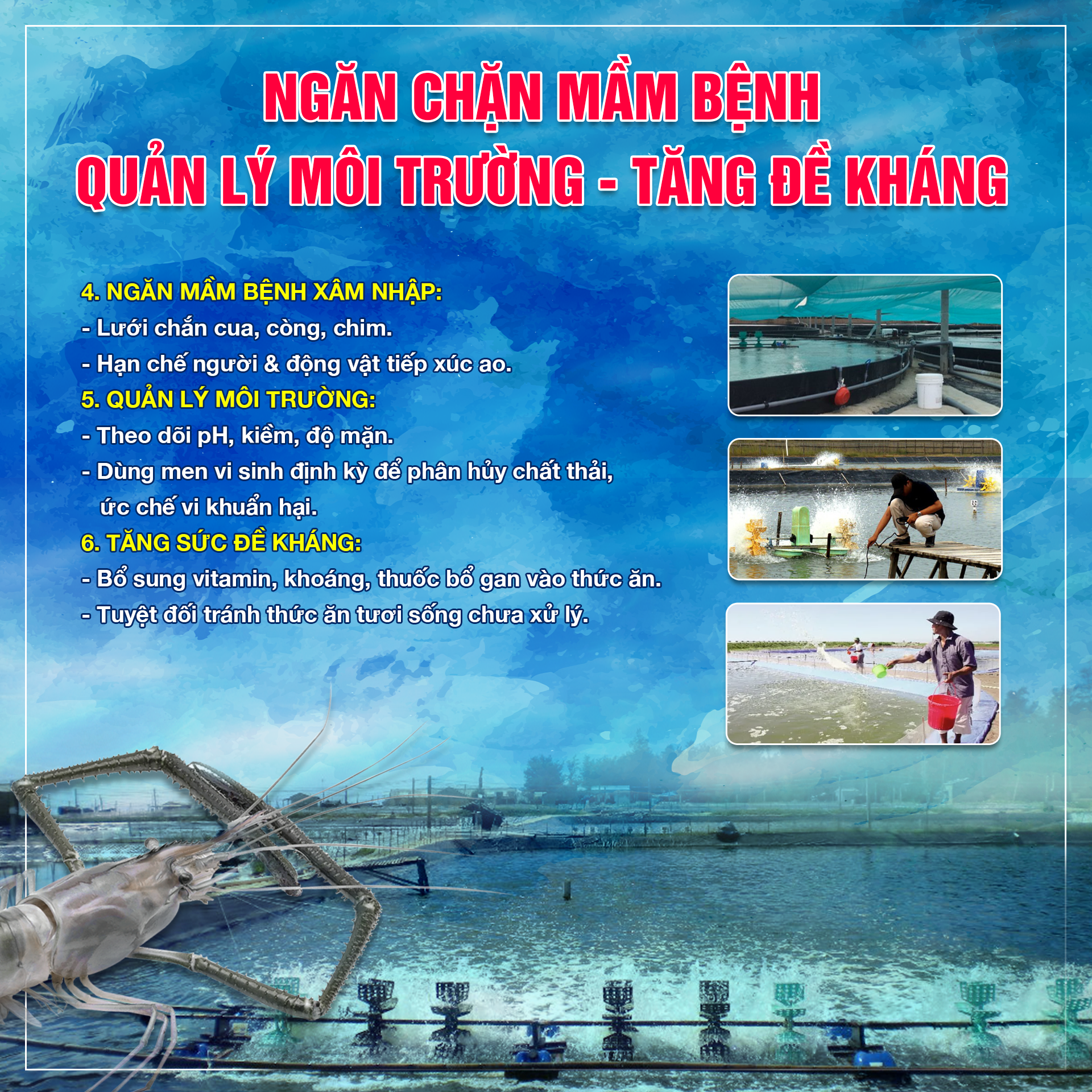 Bệnh hồng thân đốm trắng trên tôm bùng phát vào thời điểm nào?