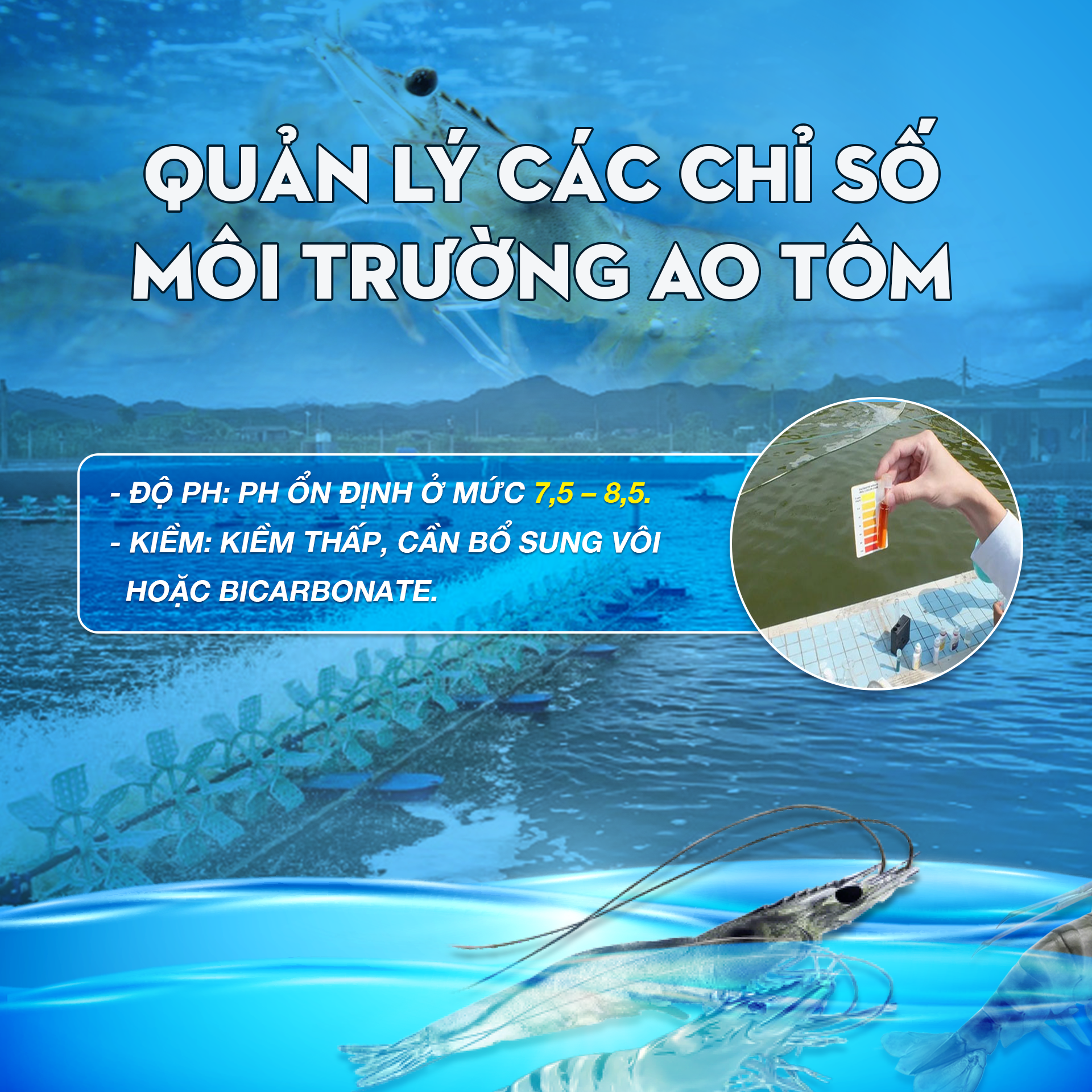 LƯU Ý SỬ DỤNG SẢN PHẨM VI SINH XỬ LÝ MÔI TRƯỜNG MÙA LẠNH