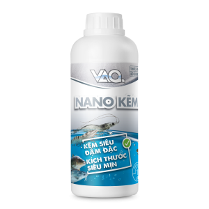 VAQ.NANO KẼM