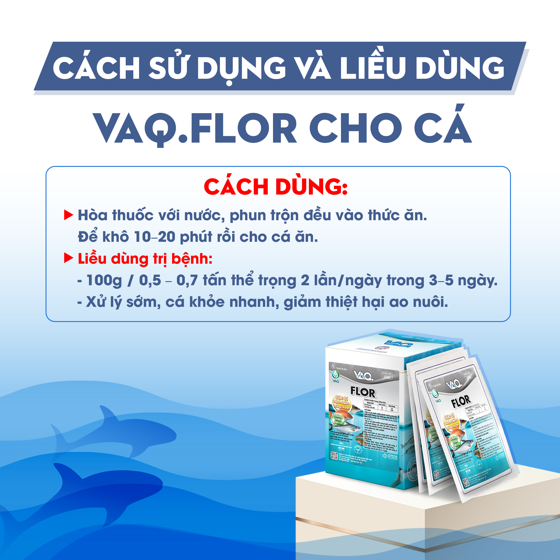 Tìm hiểu về bệnh nhiễm trùng đường ruột trên cá và giải pháp kiểm soát hiệu quả