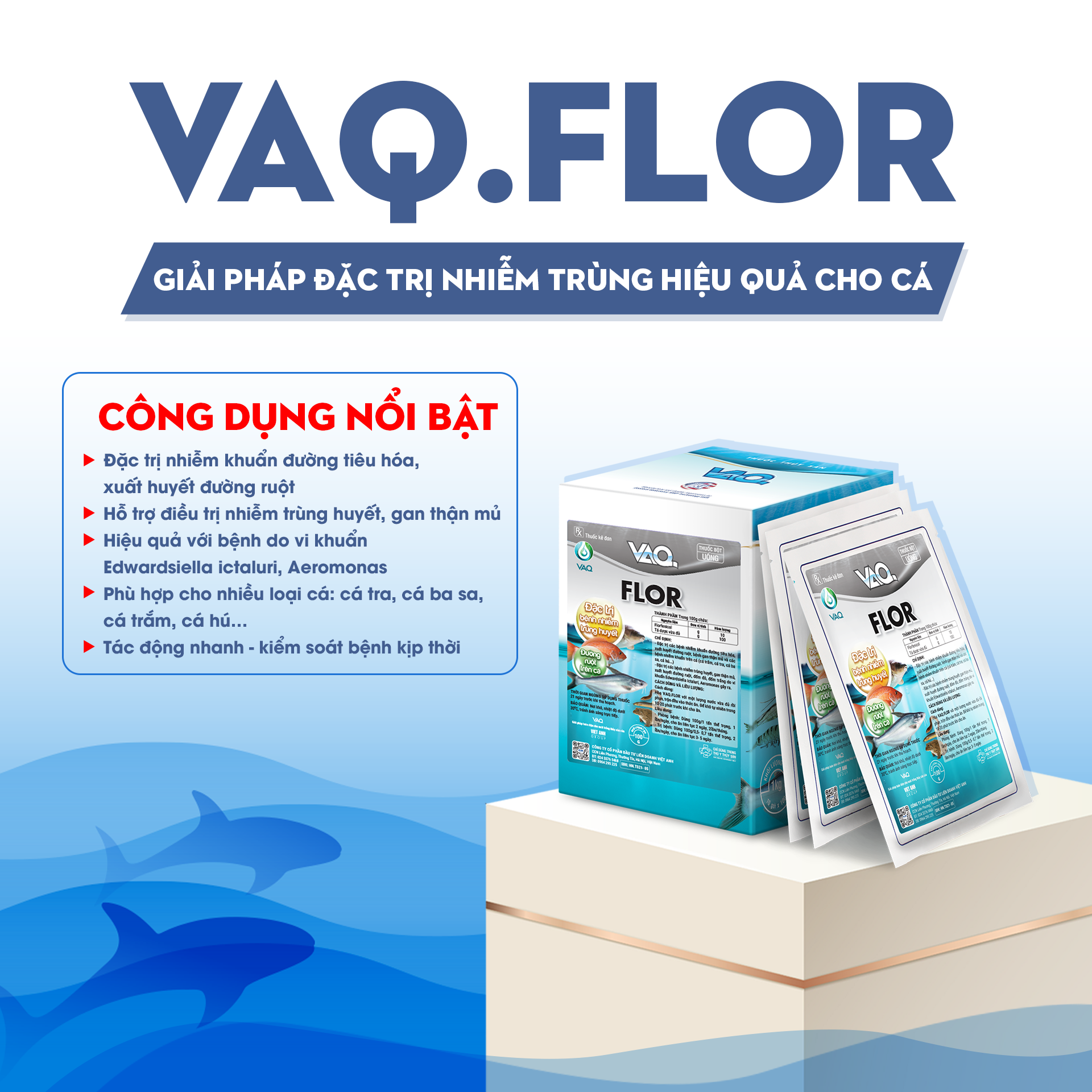 Tìm hiểu về bệnh nhiễm trùng đường ruột trên cá và giải pháp kiểm soát hiệu quả