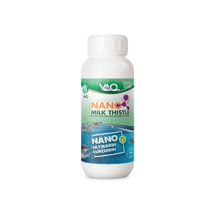 NANO MILK THISTLE