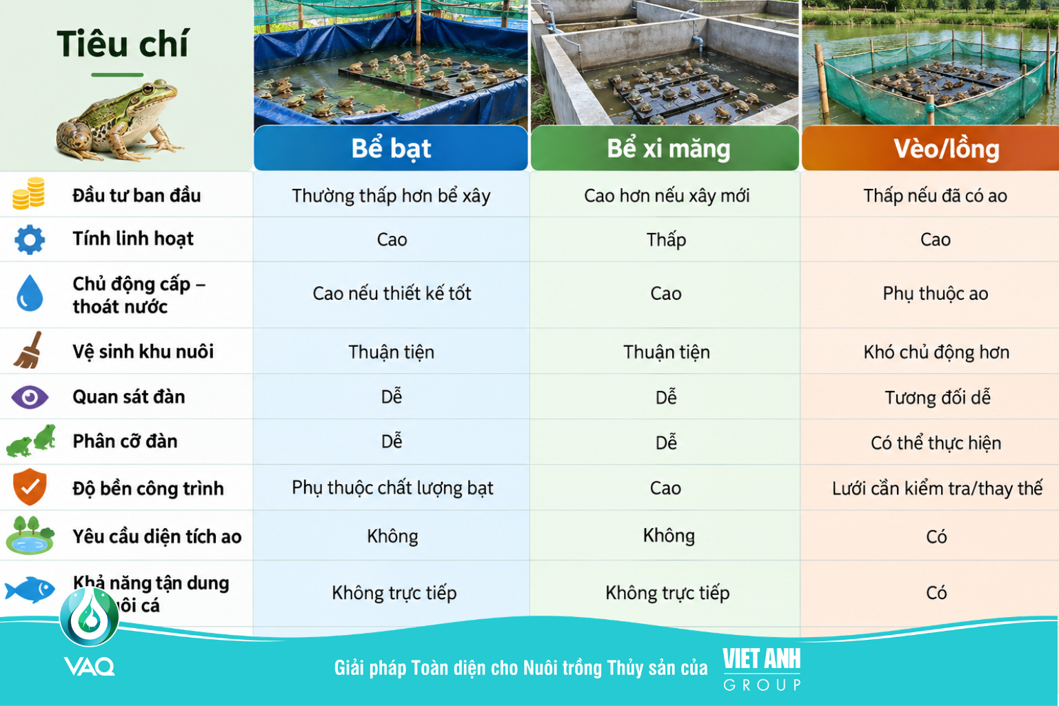 So sánh các mô hình nuôi ếch